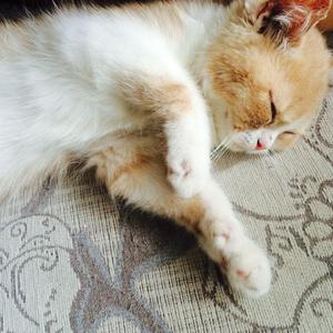 Chinese❌❌❌天美69
